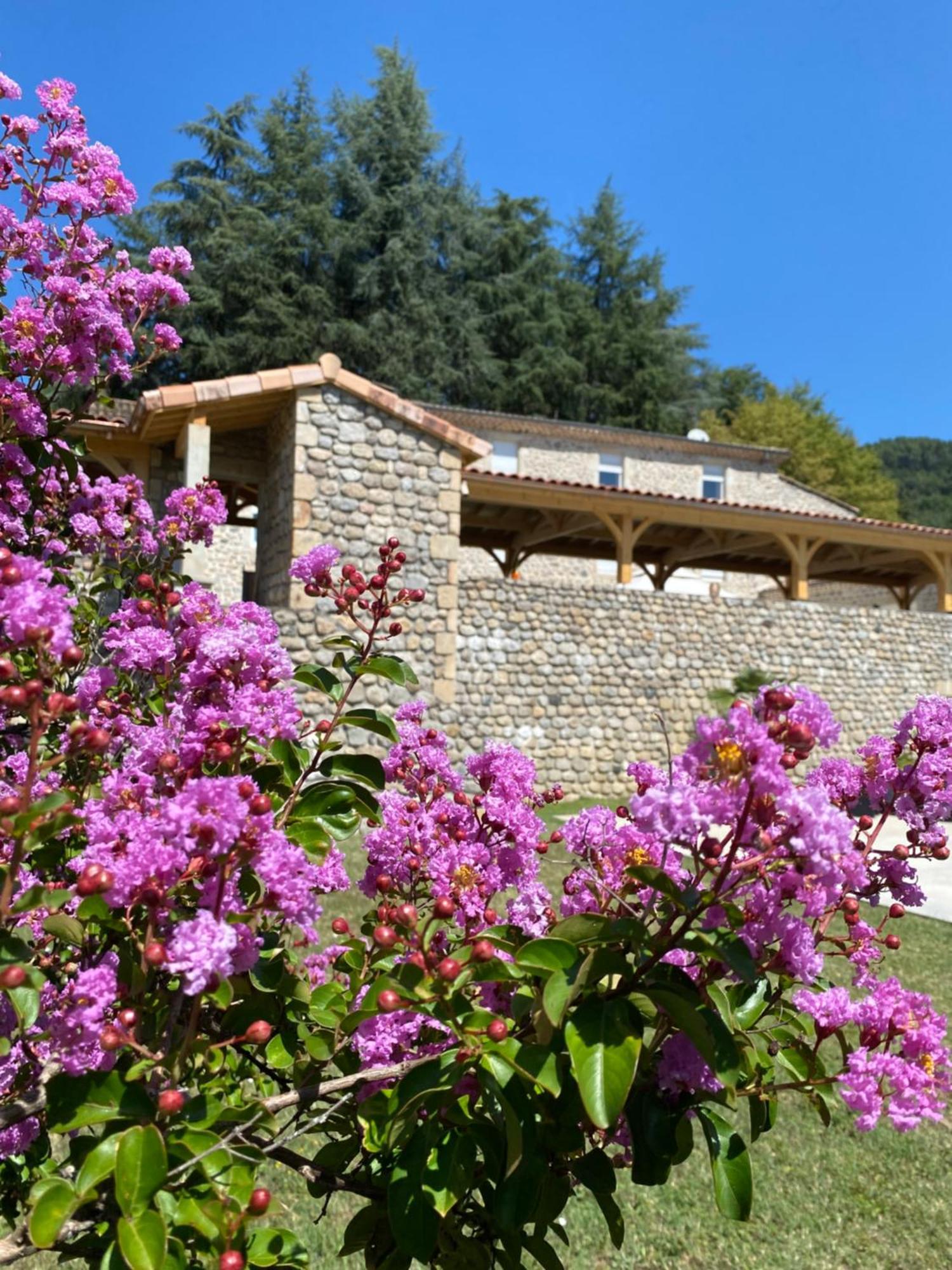 Saint-Fortunat-sur-Eyrieux Domaine Les Buis Bed & Breakfast エクステリア 写真